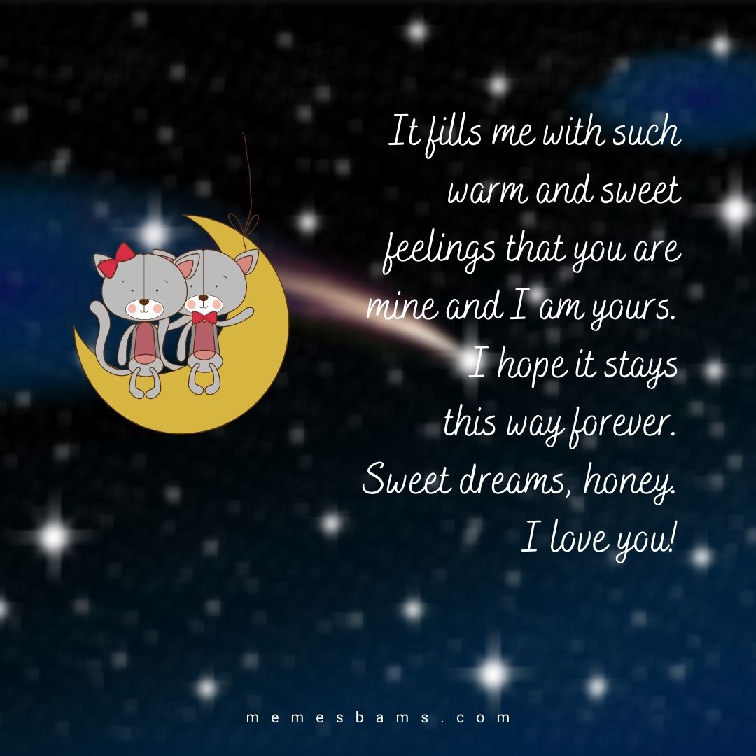 50 Cute Goodnight Paragraph and Messages for Him