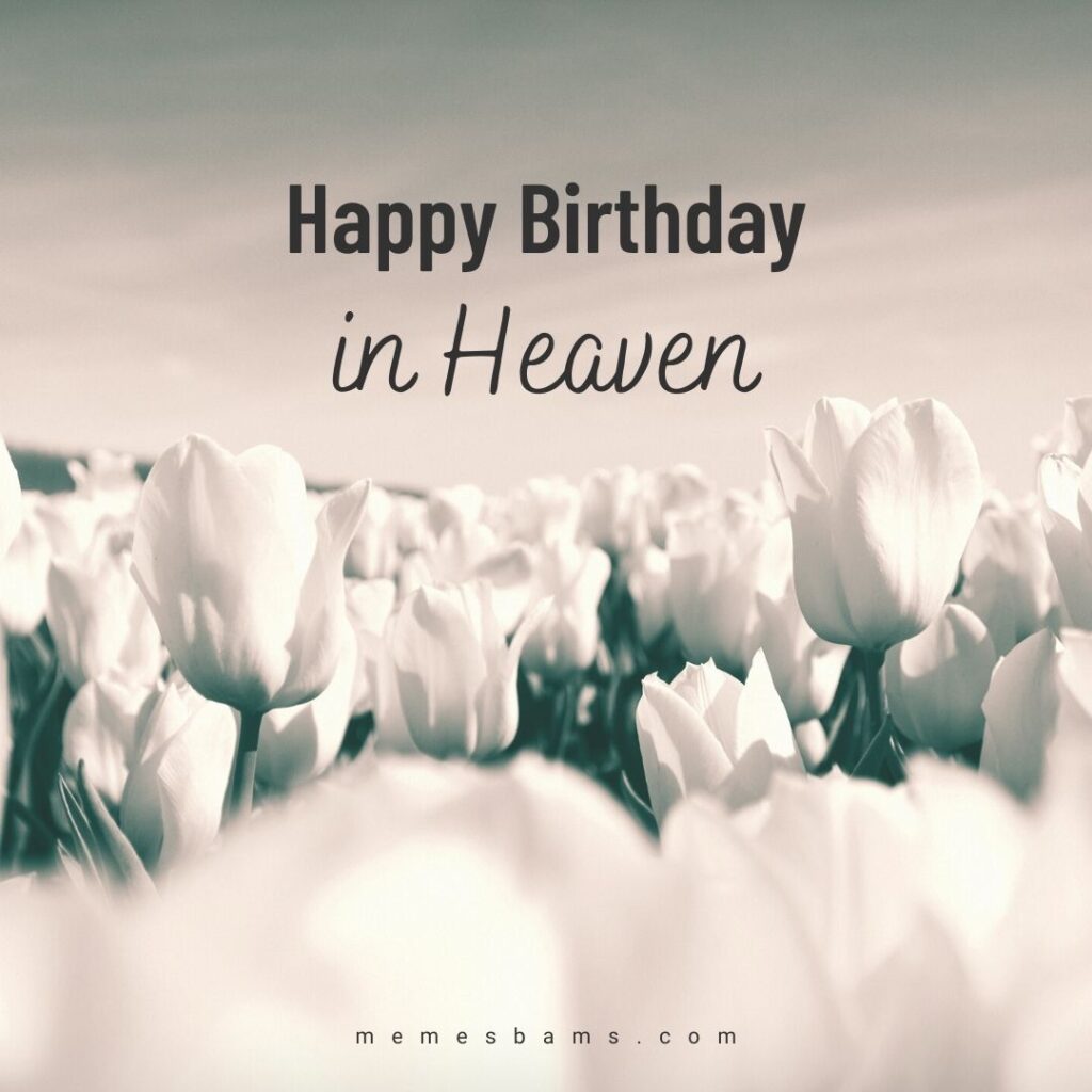 Happy Birthday Quotes and Images to Someone in Heaven