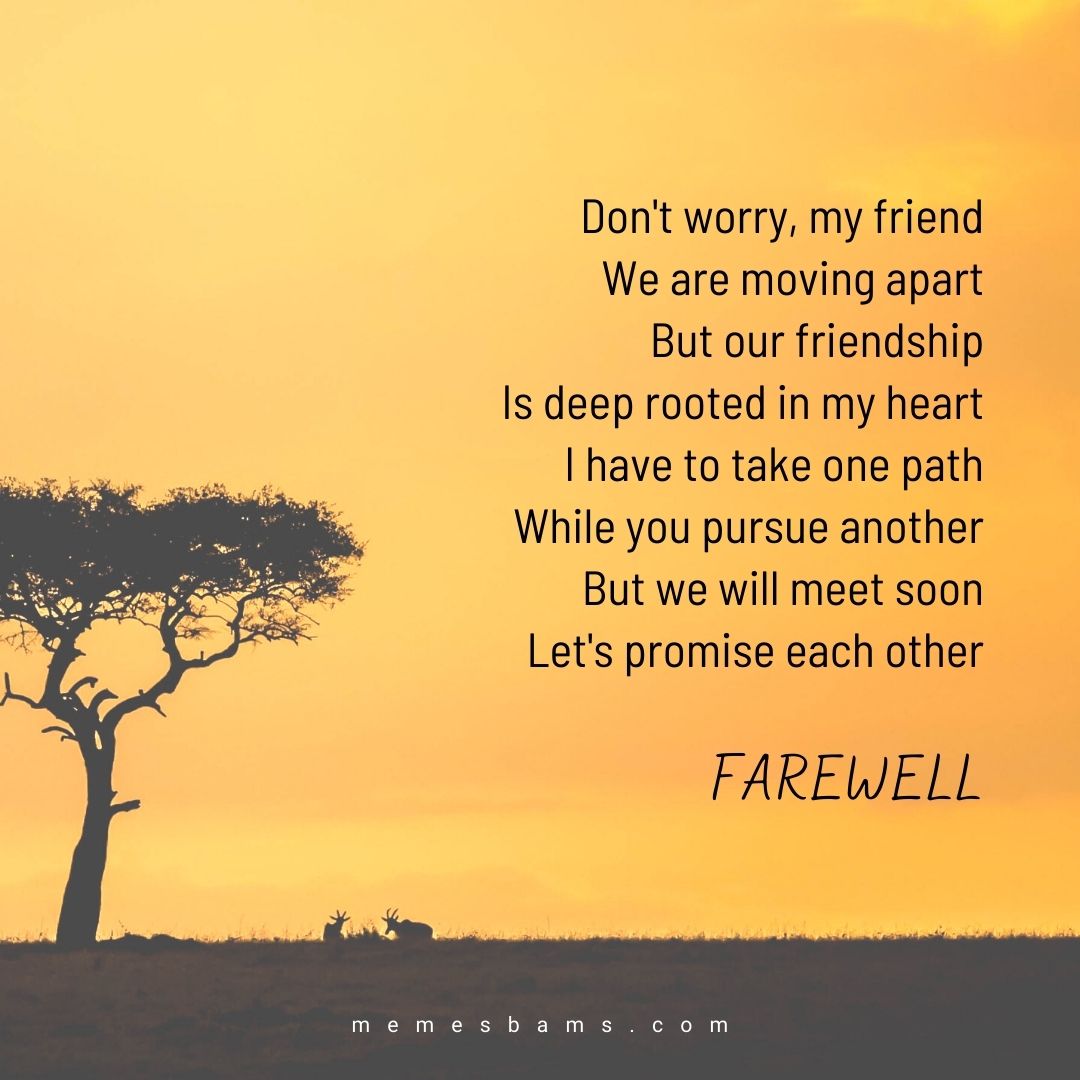 write a farewell speech for your best friend