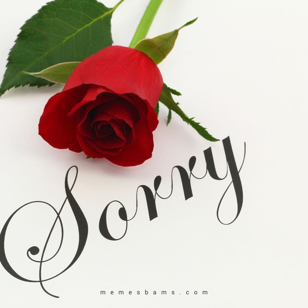 Im Sorry Quotes and Messages for Her to Personalize Your Apology