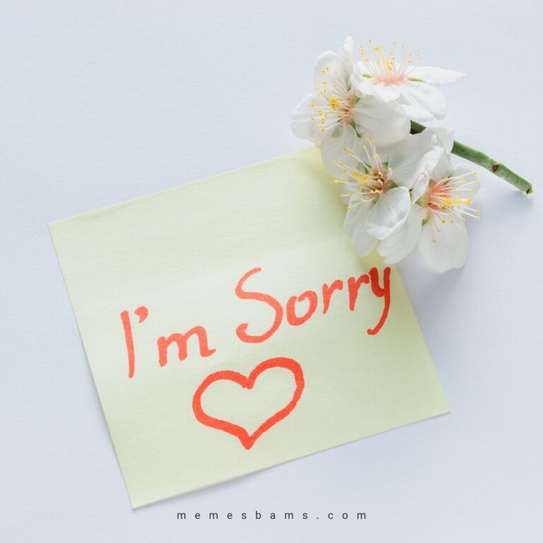 She Is Sorry I'm Sorry Quotes and Messages for Her to Personalize Your Apology