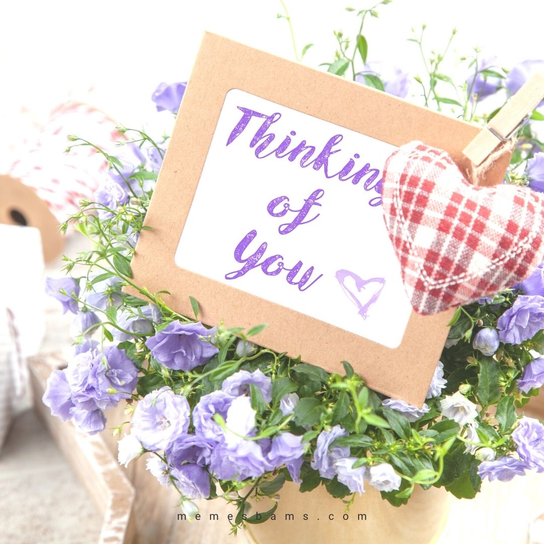 100 Touching Thinking Of You Quotes and Messages To Send Someone