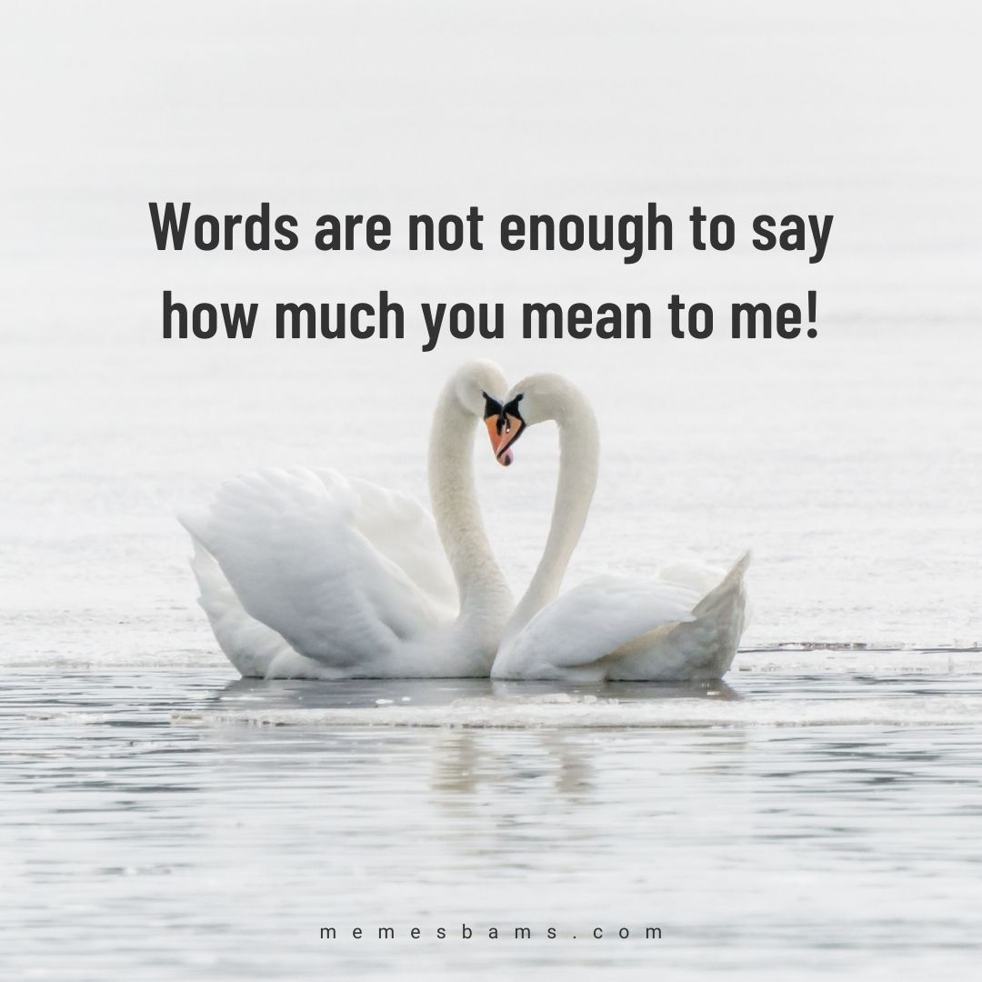 you-are-my-everything-quotes-you-are-my-world-quotes