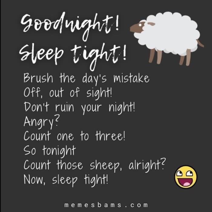 Funny Good Night Poems For Her