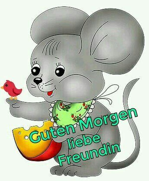 Guten Lustige Bilder kostenlos für WhatsApp 2023