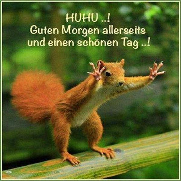 Morgengrue Lustige Guten Morgen Bilder Fur Whatsapp