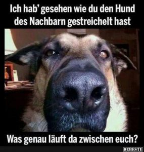 Lustige Bilder mit Sprüchen, Witzige Bilder Kostenlos Downloaden