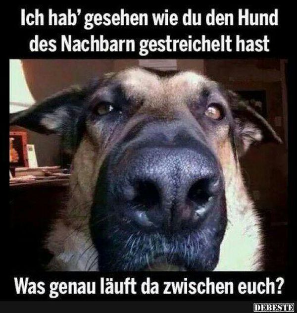 Lustige Bilder mit Sprüchen, Witzige Bilder Kostenlos Downloaden
