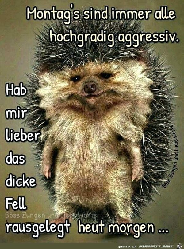 Beste Montag Sprüche Kostenlos, Lustige Montag Sprüche