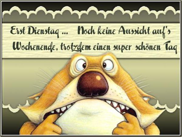 Schönen Dienstag Sprüche, Guten Dienstag Zitate