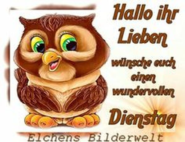 Schönen Dienstag Sprüche, Guten Dienstag Zitate