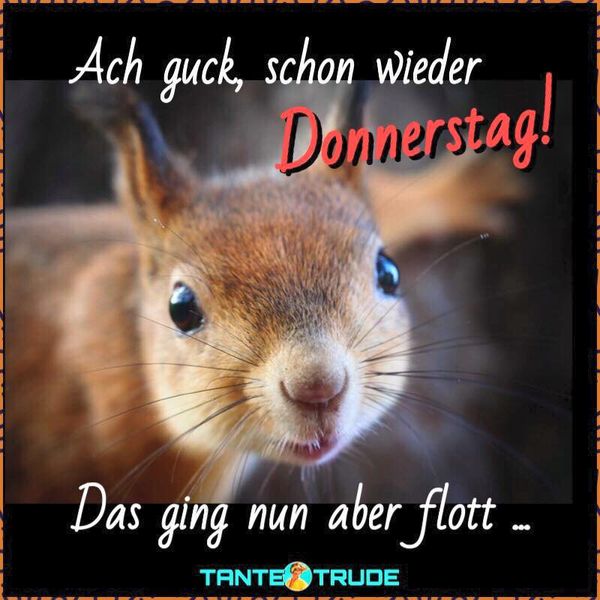 Schönen Donnerstag Bilder Kostenlos •