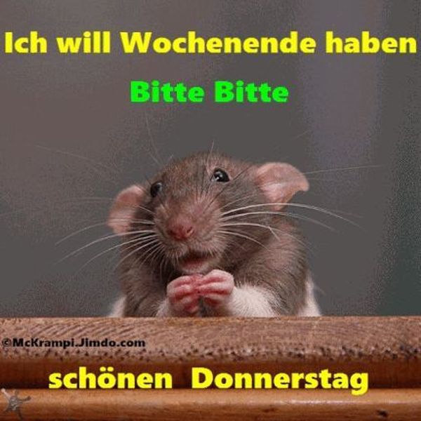 Schönen Donnerstag Bilder Kostenlos •