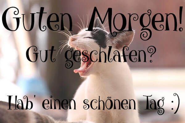 Schönen Guten Sprüche und Wünsche