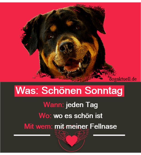 Sonntag Sprüche 74 Schönen und Lustige Sonntagssprüche Kostenlos