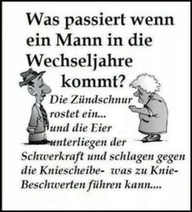 Top 40 Geile Sprüche aus dem