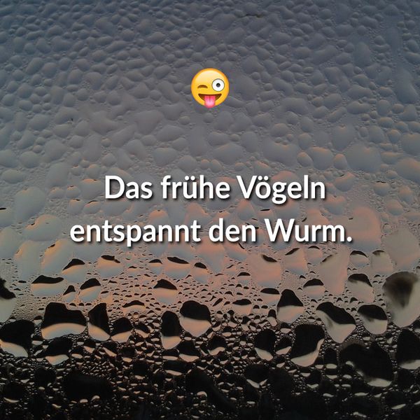 Top 40 Geile Sprüche aus dem